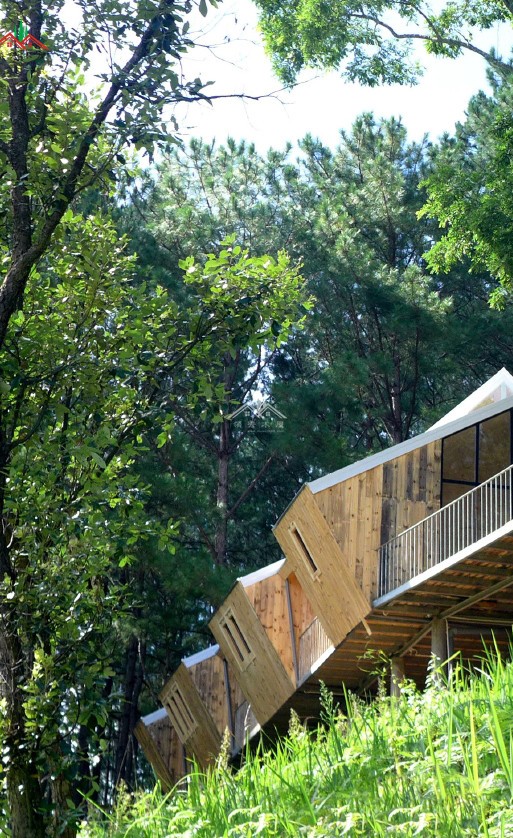森林个性异形特色吊脚木屋