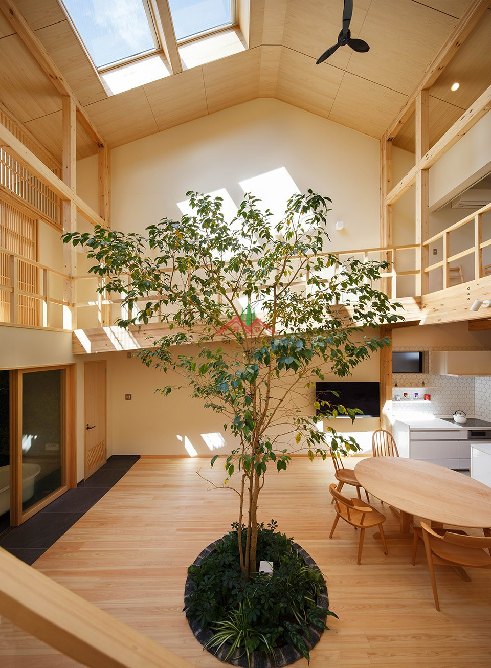 室内有颗树的木屋