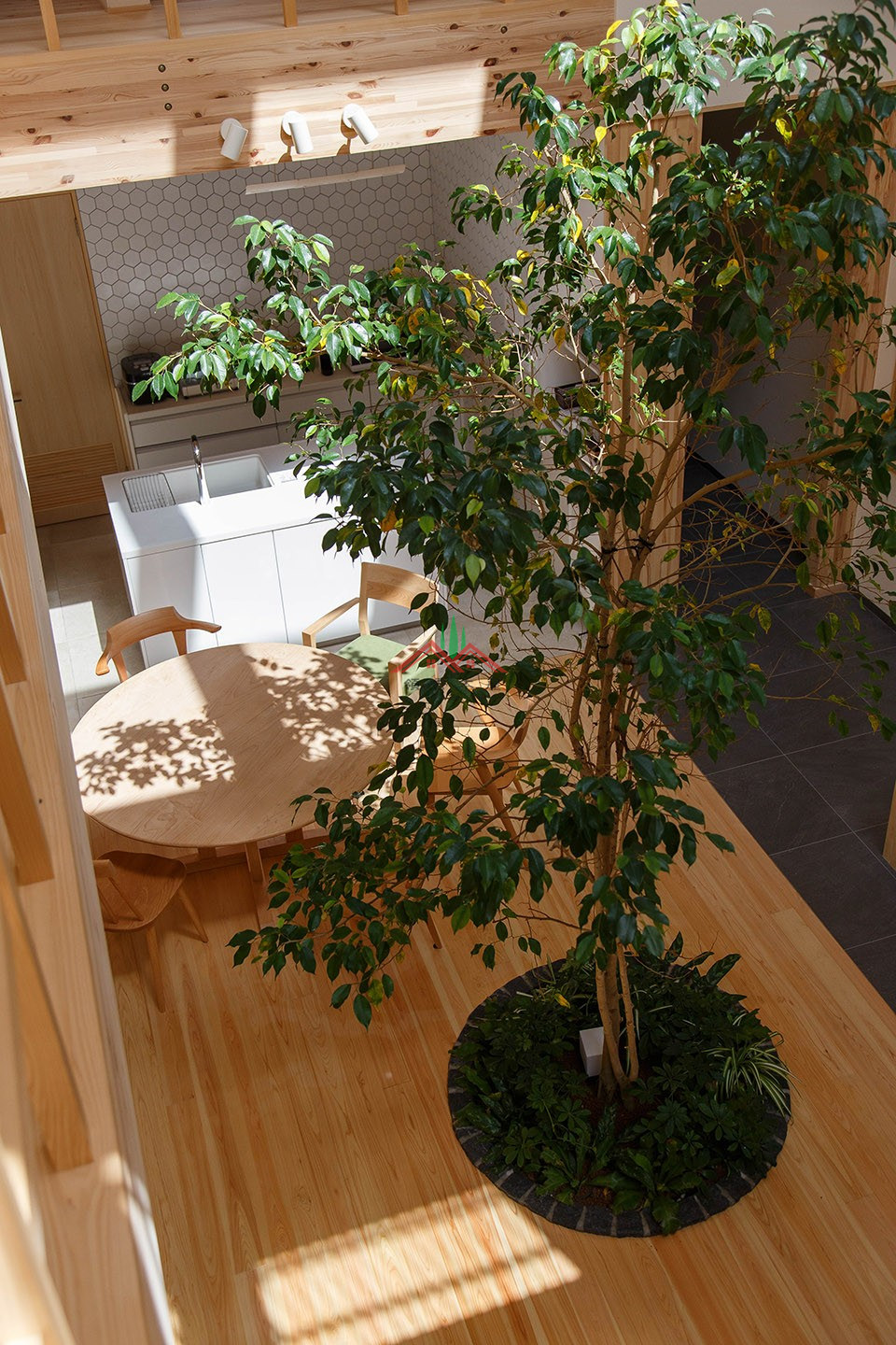 室内有颗树的木屋
