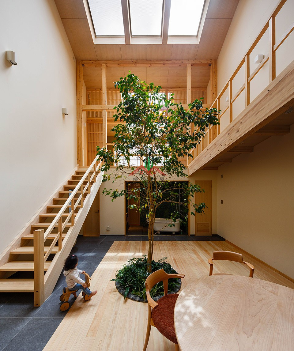 室内有颗树的木屋