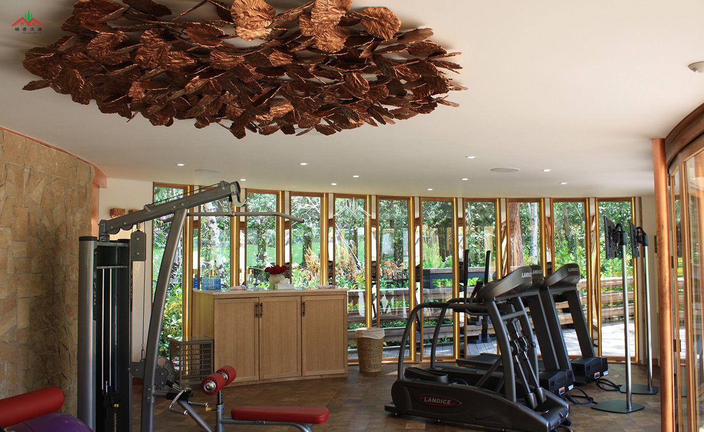弧形木结构健身房